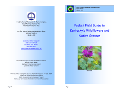 Pocket Field Guide to Kentucky Wildflowers