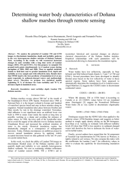 Determining water body characteristics of Do&ntilde;ana shallow marshes