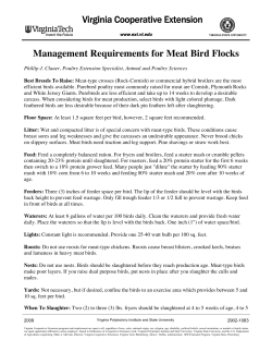 Management Requirements for Meat Bird Flocks
