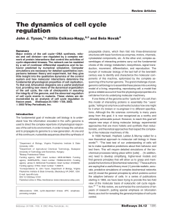 The dynamics of cell cycle regulation