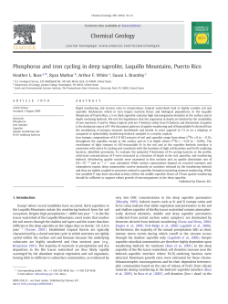 Phosphorus and iron cycling in deep saprolite, Luquillo Mountains