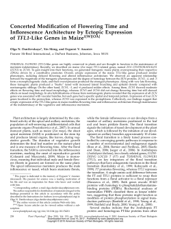 Concerted Modification of Flowering Time and