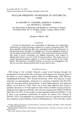 OCULAR FREEZING AVOIDANCE IN ANTARCTIC FISH BY