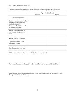 Meiosis Practice Test