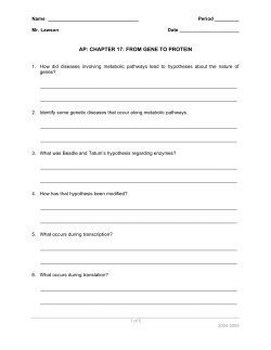 AP: CHAPTER 17: FROM GENE TO PROTEIN