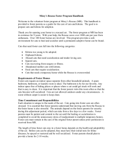 Missy`s Rescue Foster Handbook