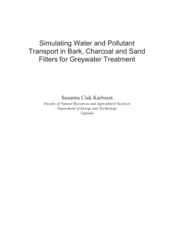 Simulating Water and Pollutant Transport in Bark, Charcoal and