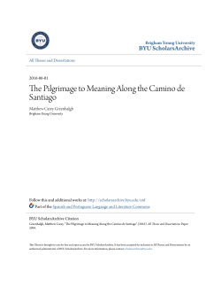 The Pilgrimage to Meaning Along the Camino de Santiago