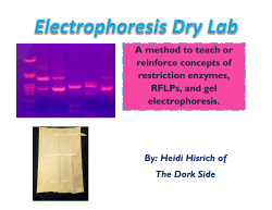 A method to teach or reinforce concepts of restriction enzymes