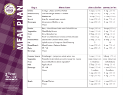 MEAL PLAN - Home Instead Senior Care