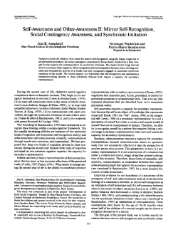 Self-Awareness and Other-Awareness II: Mirror Self
