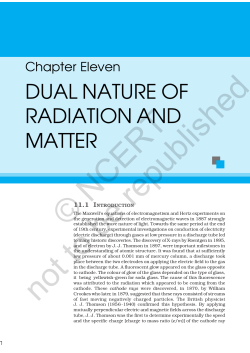 Chapter 11.pmd
