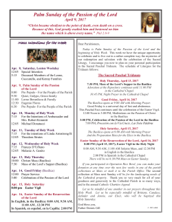 Palm Sunday of the Passion of the Lord