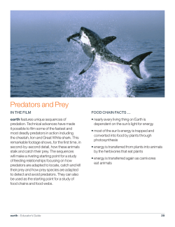 Predators and Prey