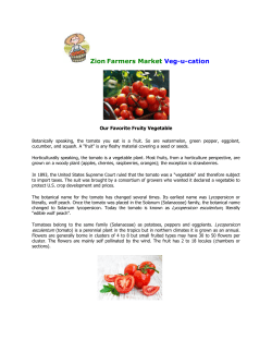 Zion Farmers Market Veg-u-cation