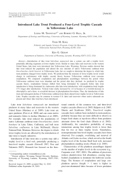 Introduced Lake Trout Produced a Four