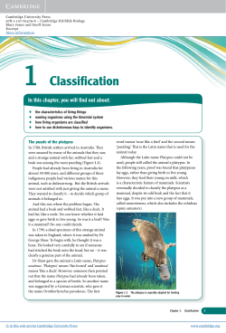 1 Classification - Assets - Cambridge University Press