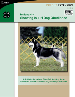 Showing in 4-H Dog Obedience