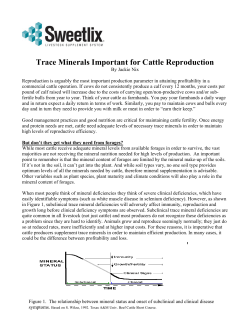 Trace Minerals Important for Cattle Reproduction