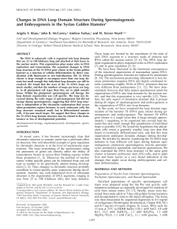 Changes in DNA Loop Domain Structure During