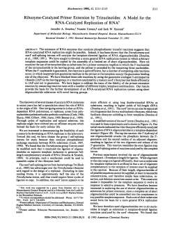 Ribozyme-Catalyzed Primer Extension by Trinucleotides: A Model