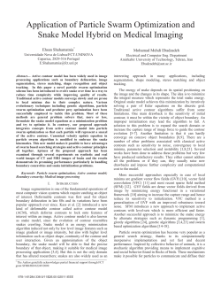 Application of Particle Swarm Optimization and Snake