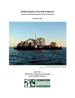 Artificial Reefs of the Gulf of Mexico