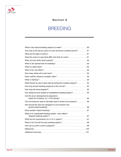 breeding - The Canadian Sheep Federation