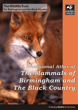 The Mammals of Birmingham and The Black Country The Mammals