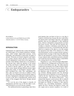 C. Endoparasites - Raptor Research Foundation