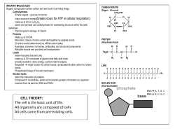 SugCELL THEORY: The cell is the basic unit of life. All organisms