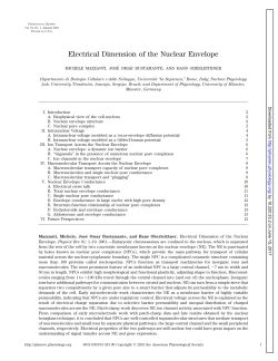 Electrical Dimension of the Nuclear Envelope