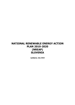 National Renewable Energy Action Plan