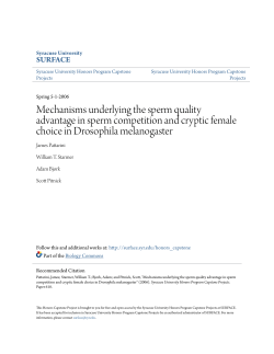 Mechanisms underlying the sperm quality advantage in sperm