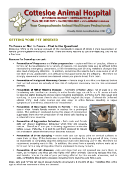 getting your pet desexed