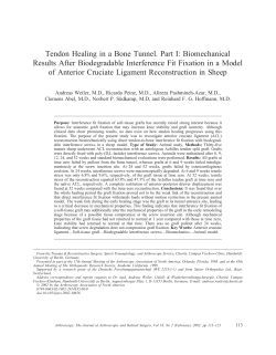 Tendon Healing in a Bone Tunnel. Part I: Biomechanical Results