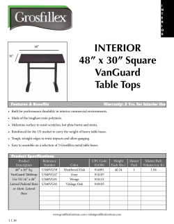 INTERIOR 48&rdquo; x 30&rdquo; Square VanGuard Table Tops
