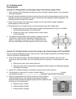 Ch. 10 Reading Guide Photosynthesis