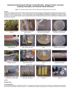 Exploring and Enriching for Nitrogen Cycling Microbes