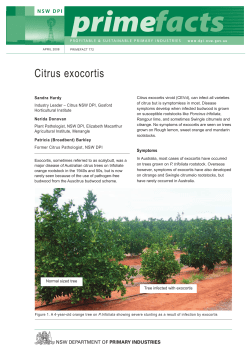 Citrus exocortis - NSW Department of Primary Industries