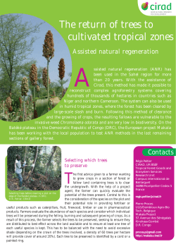 The return of trees to cultivated tropical zones