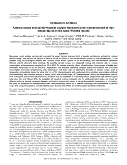 Aerobic scope and cardiovascular oxygen transport is not