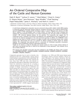 An Ordered Comparative Map of the Cattle and Human
