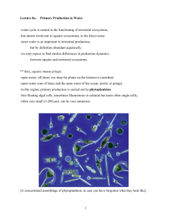Lecture 8a. Primary Production in Water