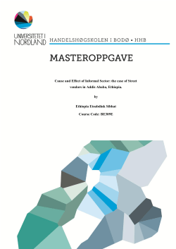 Cause and Effect of Informal Sector: the case of Street