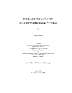 Modelling and Simulation of Lightning Discharge Patterns