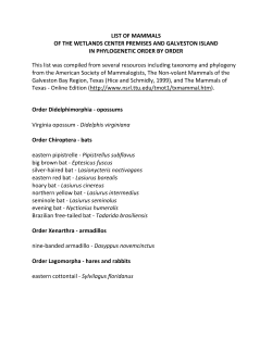 LIST OF MAMMALS OF THE WETLANDS CENTER