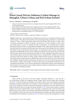 Full-Text PDF
