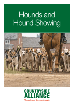 Hounds and Hound Showing - The Countryside Alliance