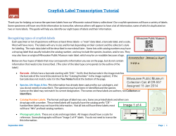 Crayfish Label Transcription Tutorial